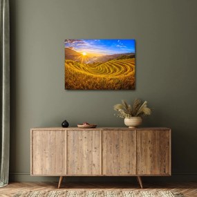 Kép - Rizs teraszok Vietnamban (70x50 cm)