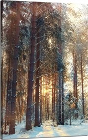 Vászonkép Erdő Tél Hó Fehér Természet 50x80 cm