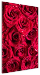 Egyedi üvegkép Vörös rózsák osv-122317792