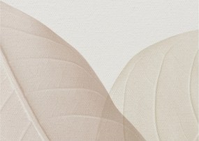 Kép - Texturált levelek (70x50 cm)