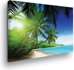 Vászonkép 100x75 Trópusi tengerpart paradicsomi sarok pálmafák tenger óceán nap