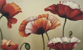 Fotótapéta Dekoratív Fali Tapéta Képekkel Vidám pipacsok 416x254