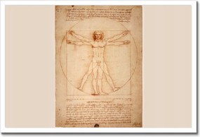 Poszterek keretben 60x40 Da Vinci vitruviusi ember
