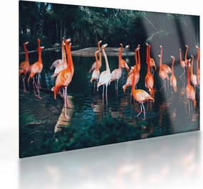 Flamingók csordája (üvegen) (70x50 cm)