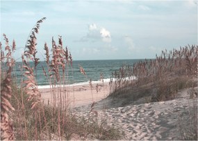 Kép - Rózsaszín strand (70x50 cm)
