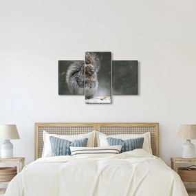 Kép - Mókus télen (90x60 cm)