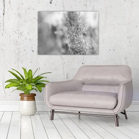 Üveg kép - Boho pampafű (70x50 cm)