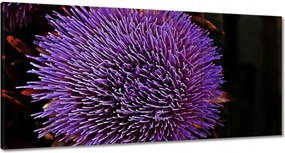 Vászonkép 120x60 Virág Lila Csipkebogyó