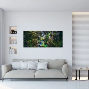 Kép - Folyó a sziklás völgyben (120x50 cm)