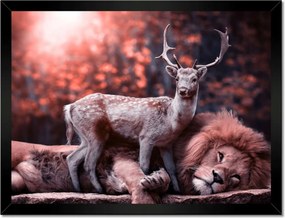 Poszter keretben 40x30 Szarvas felszarvazott