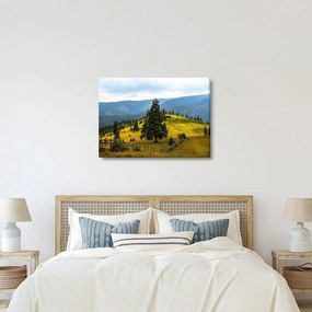 Kép - Hegyi rét (70x50 cm)