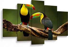 Ülő tukánok képe, Costa Rica (150x105 cm)