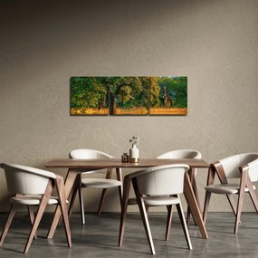 Zsiráf a természetben képe (órával) (90x30 cm)