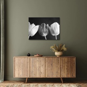 Kép - fekete-fehér tulipán virág (70x50 cm)