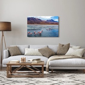 Kép - Flamingók (90x60 cm)