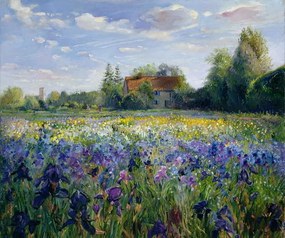 Reprodukció Evening at the Iris Field, Timothy Easton