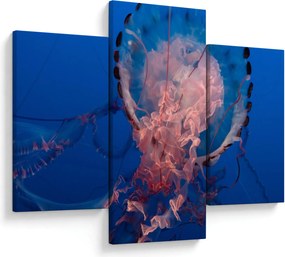 Medúza képe (90x60 cm)