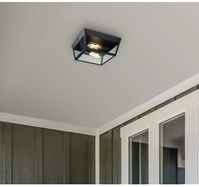 Westinghouse 61219 - Kültéri mennyezeti lámpa PETERSON 2xE27/40W/230V IP44