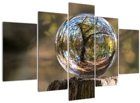 Kép - Tükröződés az üveggömbben (150x105 cm)