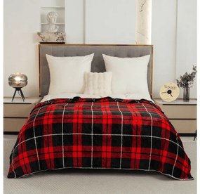 Mikroplüss pléd ALBURY, piros Méret: 160 x 200 cm