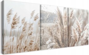 Modern vászonkép nappaliba triptichon Pampas fű 90x180