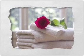 Poszterek 90x60 Rózsa a szeretetttől