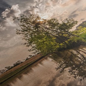 Természet kép sugarakkal (120x50 cm)
