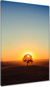 Festmények 80x120 Kilátás Tájkép