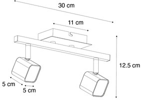 Modern mennyezeti lámpa fekete, LED-del 2-lámpás - Nola
