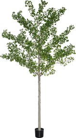 Pottery Pots Realisztikus mesterséges ginkgo biloba fa, többféle méretben - PotteryPots méret: XXL - ø 55 cm | m. 360 cm