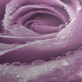 Egy rózsa virág részlete (120x50 cm)