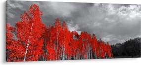 Kép - fák őszi színben (120x50 cm)