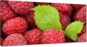 Vászonkép 115x55 Friss málna