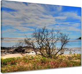 Vászonkép 50x40 Kilátás a tengerpartról