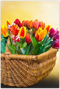 Poszterek 60x90 Tulipánok Virágok