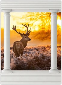 Poszterek 50x70 Szarvas naplementekor