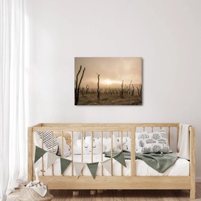Kép - Csupasz fák (70x50 cm)