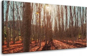 Vászonkép Erdő Ősz Levelek Színes Természet 80x40 cm