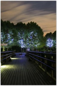 Poszterek 80x120 Séta az éjszakában