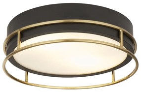 Searchlight 62012-2PB - Fürdőszobai mennyezeti lámpa PHEONIX 2xE14/60W/230V IP44