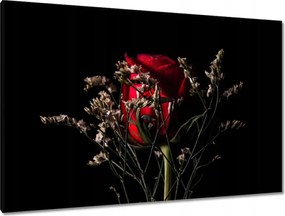 Vászonkép 120x80 Rózsa Virág Virágok Rózsa