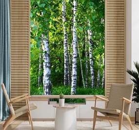 Gario Fotótapéta Nyírfa liget Anyag: Vlies, Méret: 150 x 210 cm