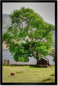 Poszterek keretben 40x60 Erős fa