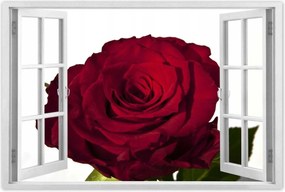 Poszterek 90x60 Vörös rózsa fehér között