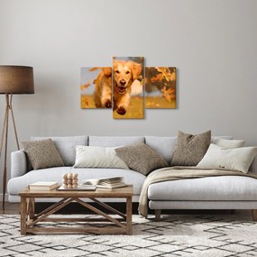 Kép - Golden Retriever (90x60 cm)