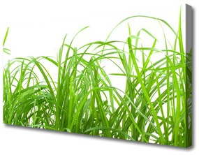 Vászonkép Grass Nature Plant 120x60 cm