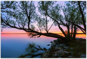 Poszterek 200x135 Sziklák Fa Tó