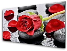 Fali üvegkép Red Rose Virág 100x50 cm