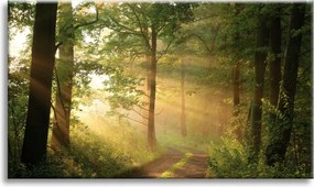 Vászonkép Napfény Erdő Ösvény Természet 90x60 cm