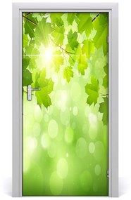 Ajtóposzter öntapadós Zöld levelek 75x205 cm